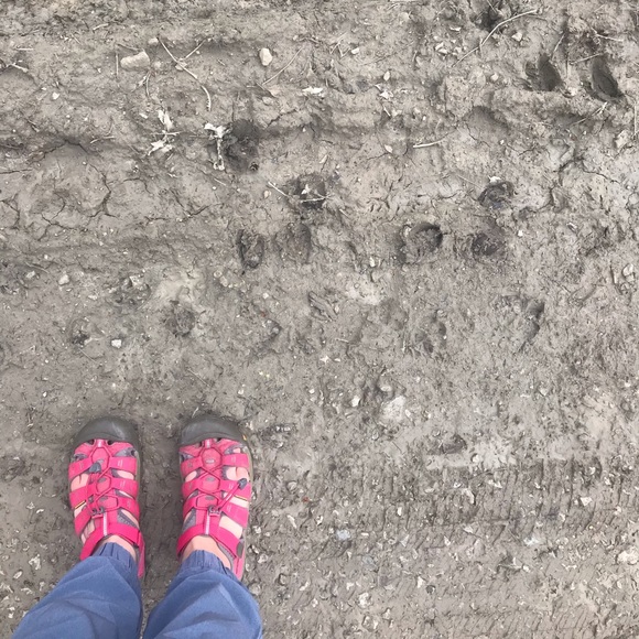 Meet your Posher, Jacqueline - Picture 3 of 8